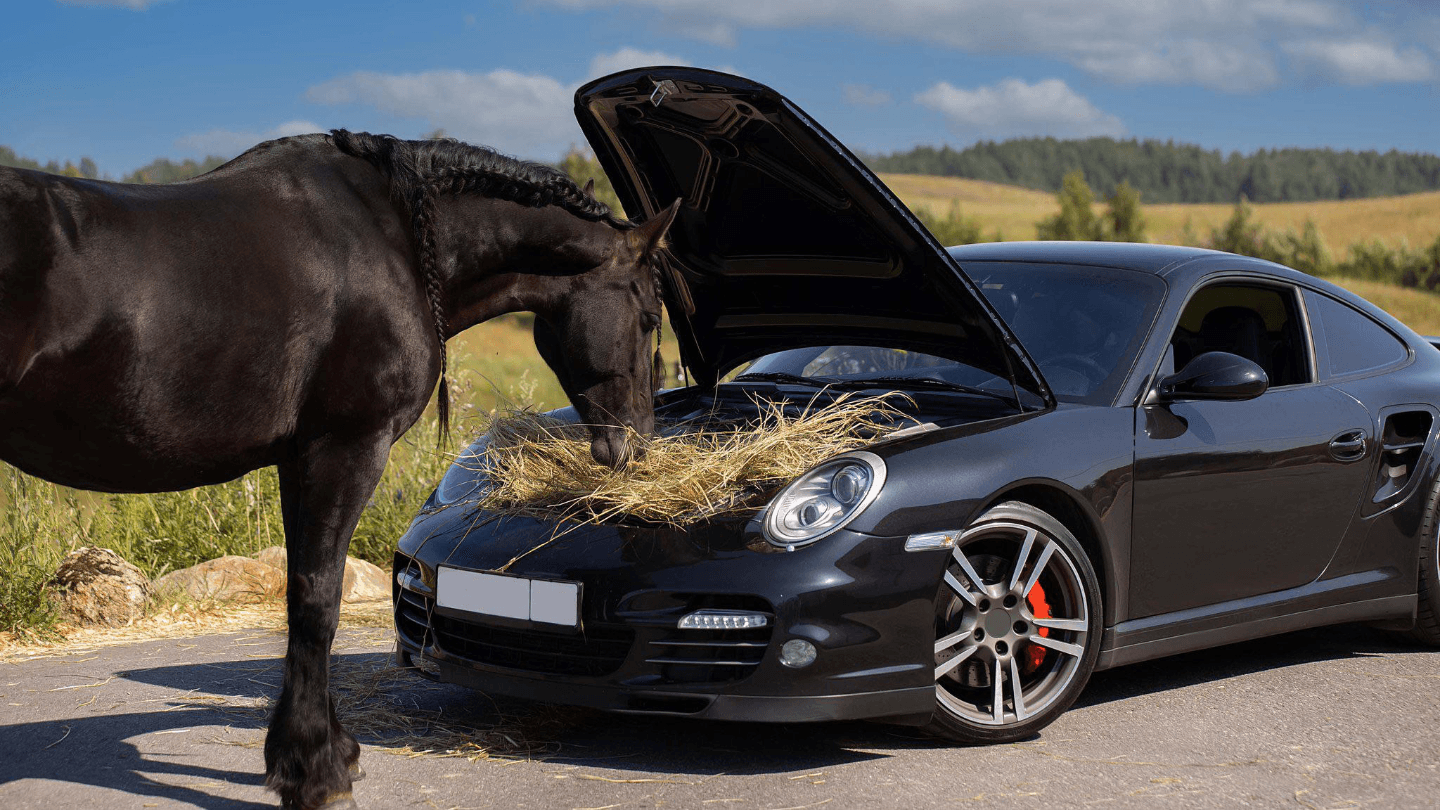 Лошадь на капоте: самые выразительные маскоты в истории автопрома