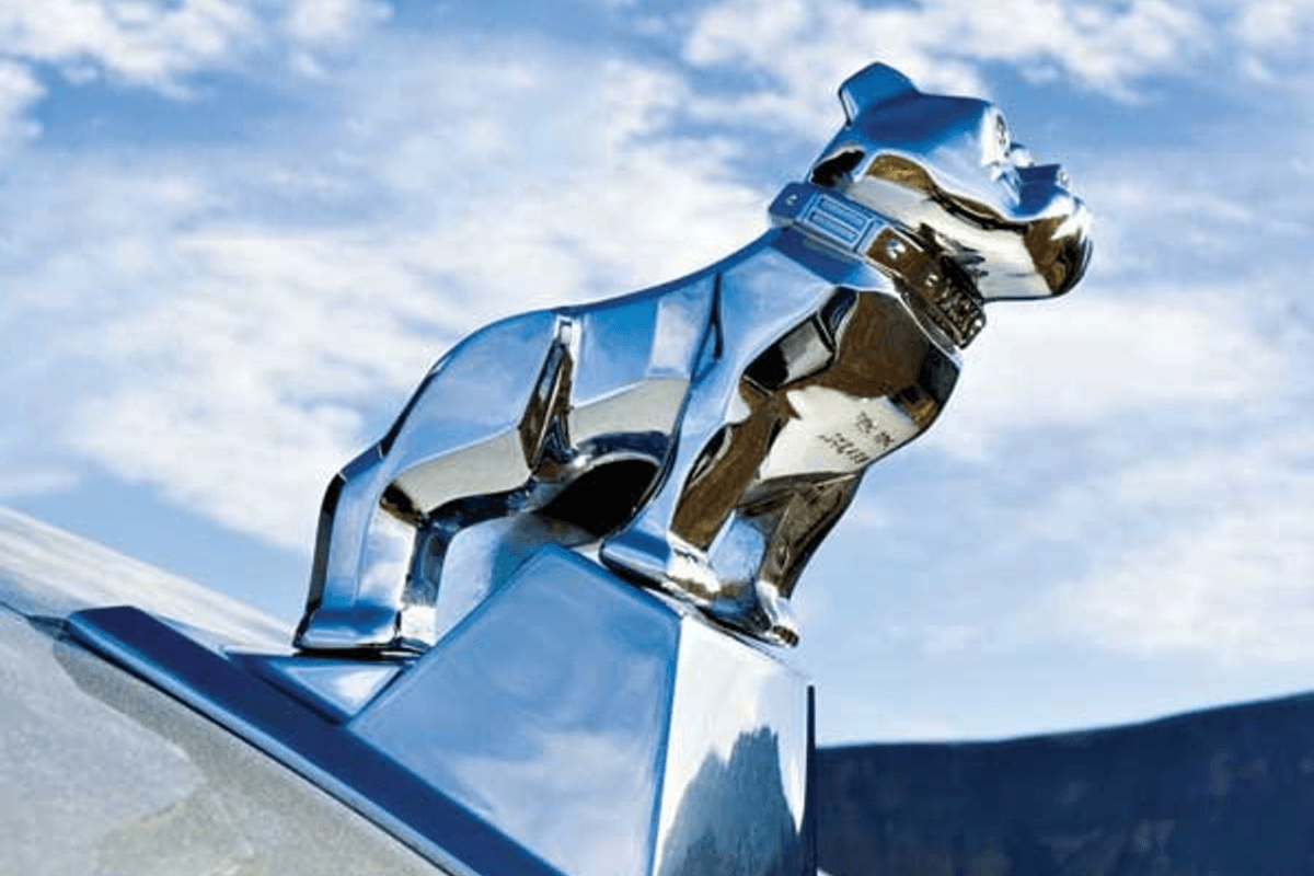 Бульдог Mack Trucks