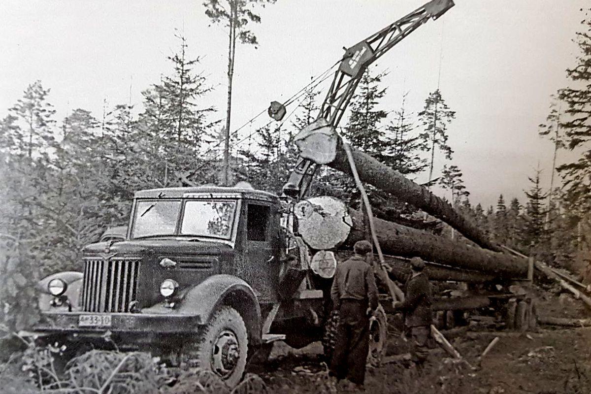 Лесовозный МАЗ-501