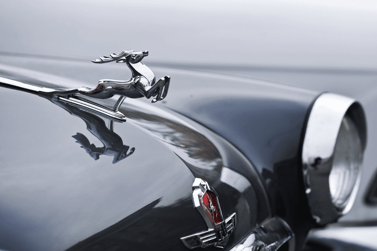 Олень на капоте ГАЗ-М-21 «Волга»