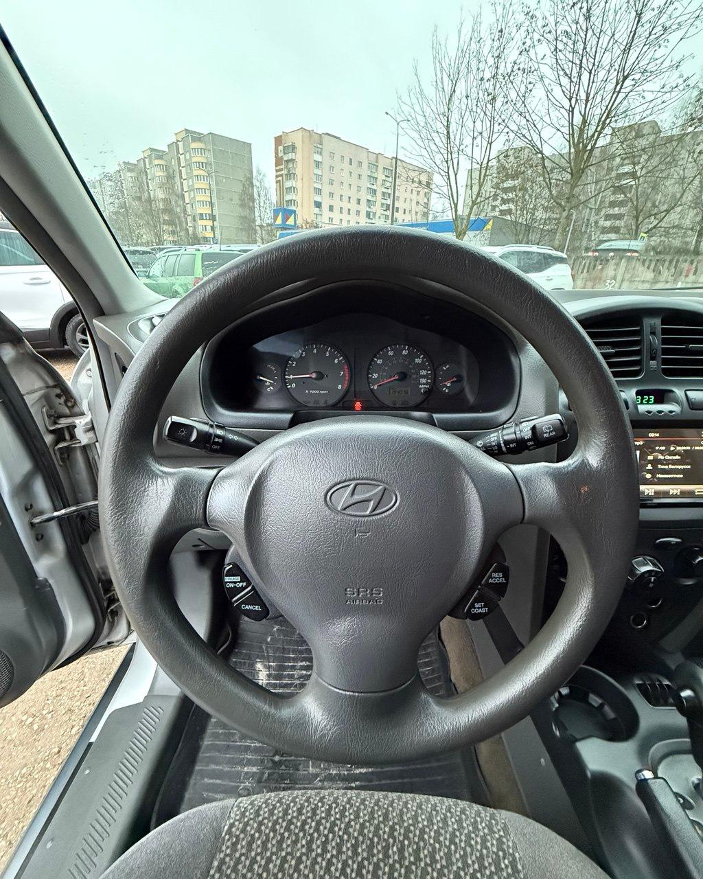 Hyundai Santa Fe SM , 2004 г., автомат, бензин - фото 11