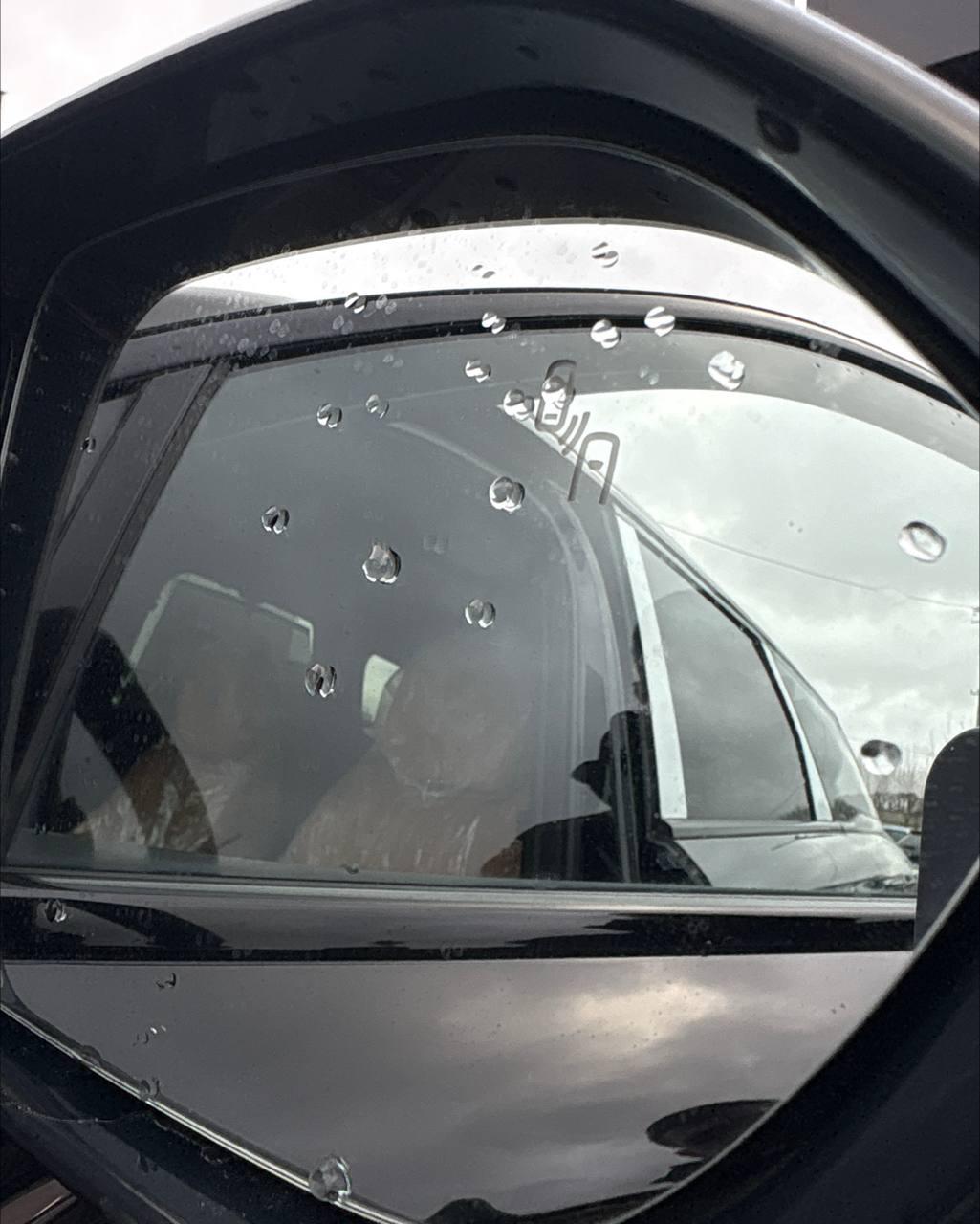 Chery Tiggo 9 I , 2024 г., автомат, бензин - фото 26