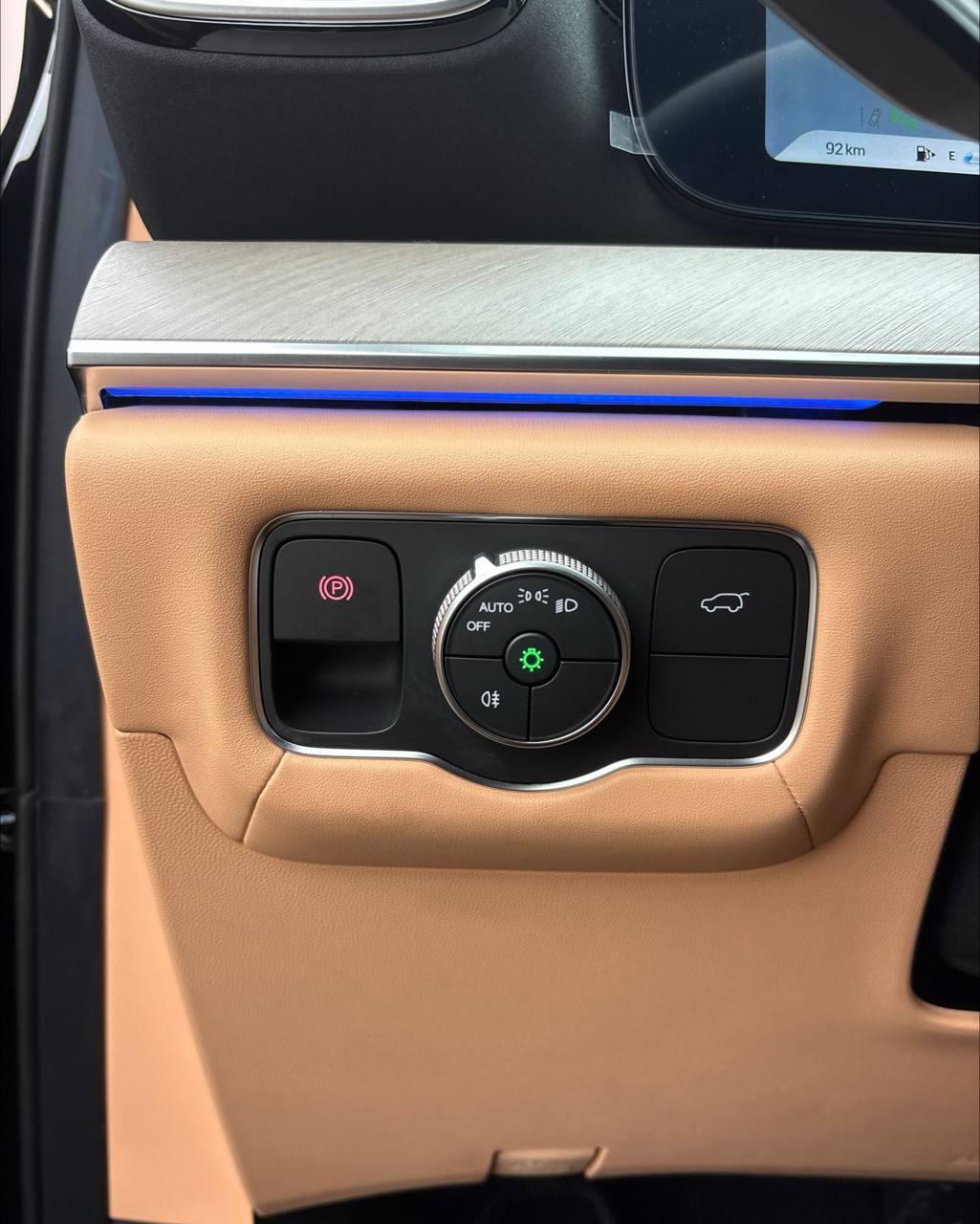 Chery Tiggo 9 I , 2024 г., автомат, бензин - фото 23