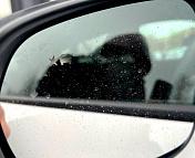 Chevrolet Trax II , 2024 г., автомат, бензин - фото 20