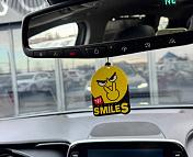 Hyundai Santa Fe TM , 2020 г., автомат, бензин - фото 18