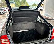 Skoda Octavia I · Рестайлинг , 2008 г., механика, бензин  - фото 14